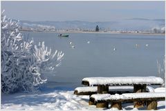 Idylle am See, bei - 18 Grad C