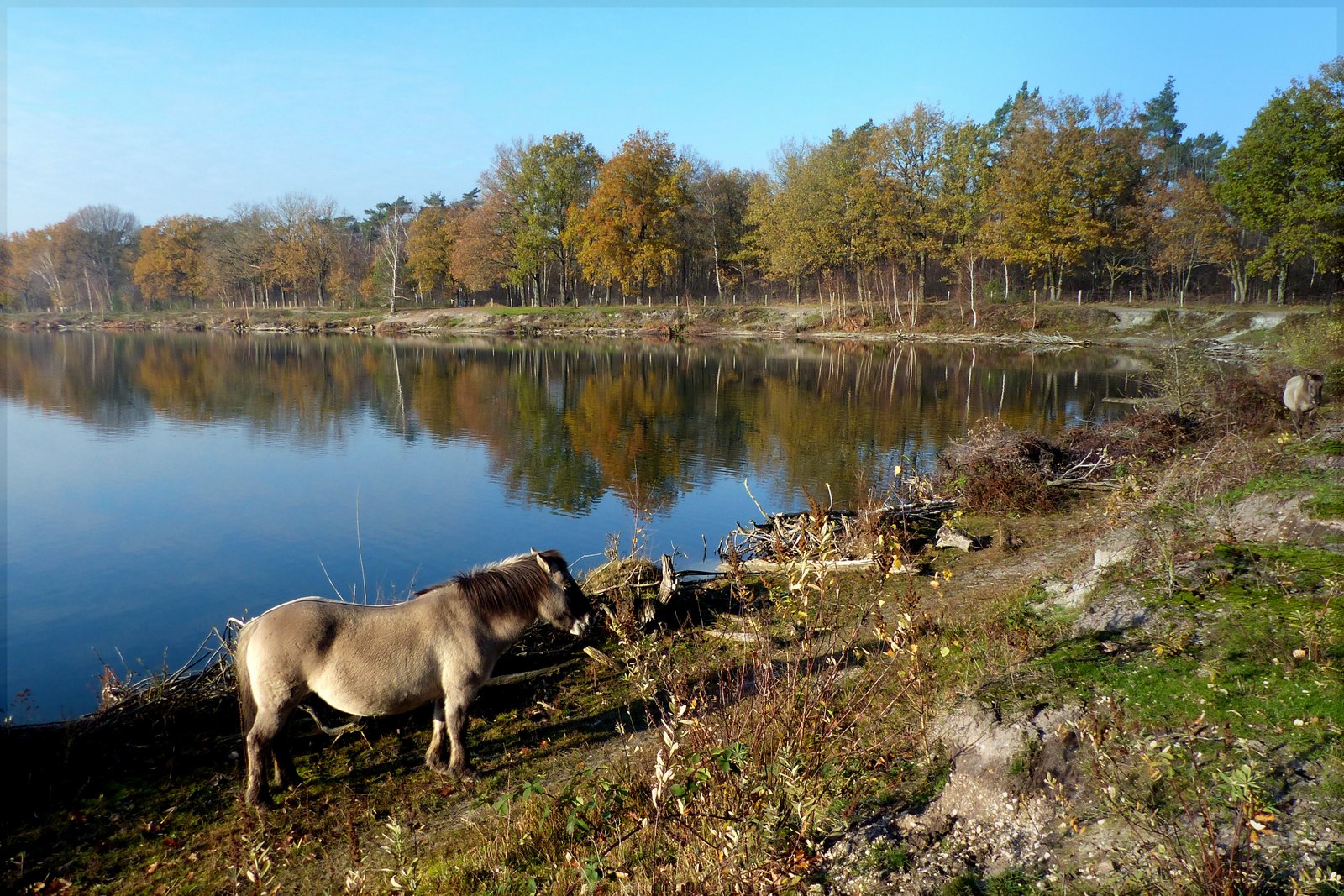 Idylle am See