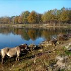 Idylle am See