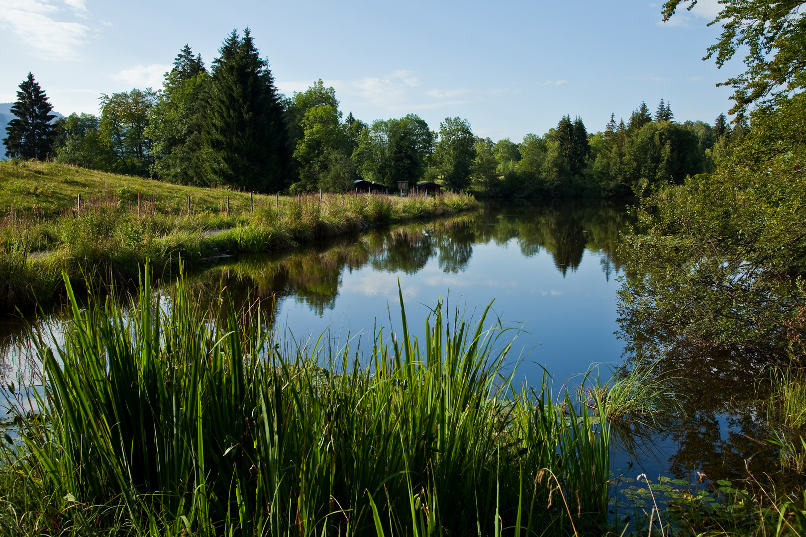 Idylle am See - der Moorweiher