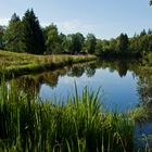 Idylle am See - der Moorweiher