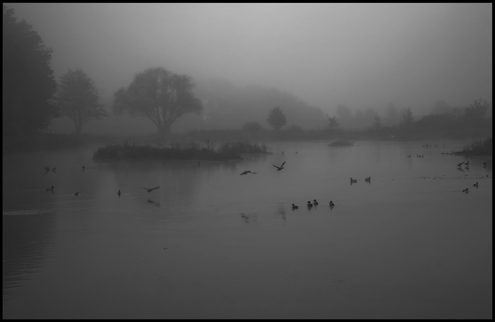 Idylle am See