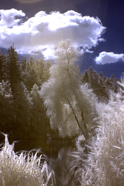 Idylle am See