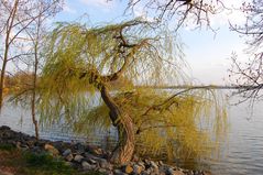 Idylle am See - wie lange noch?