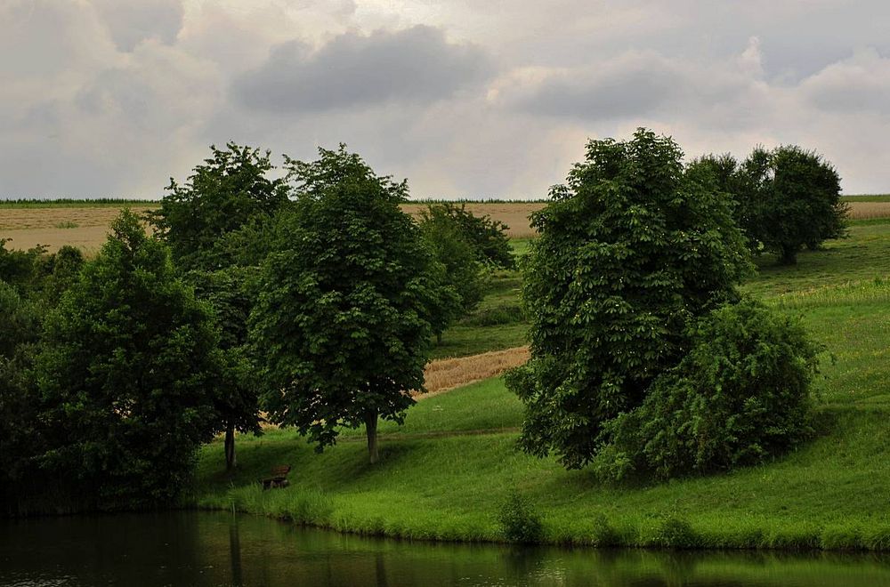 Idylle am "Sklavensee" in Kalchreuth........