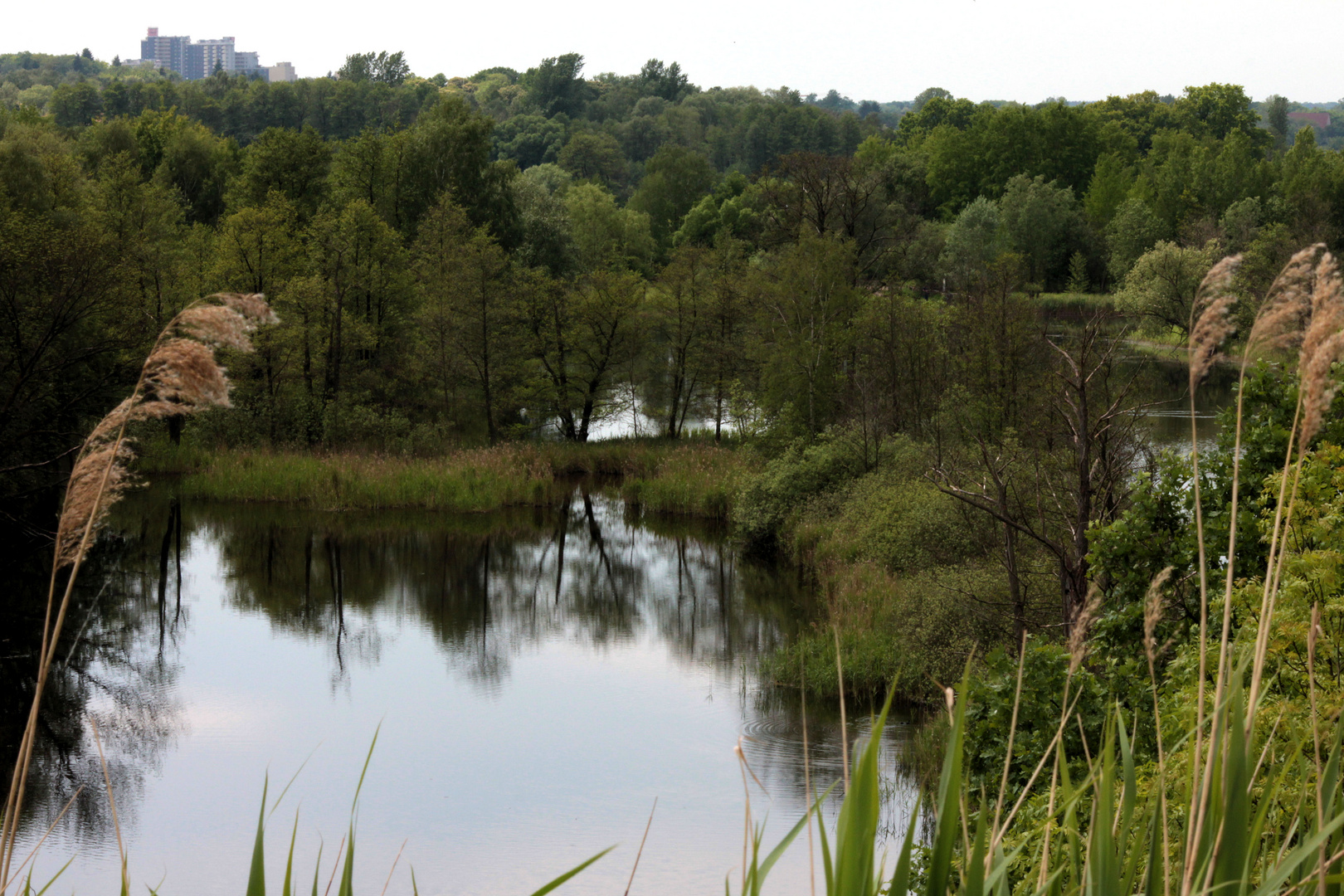 Idylle am Stadtrand