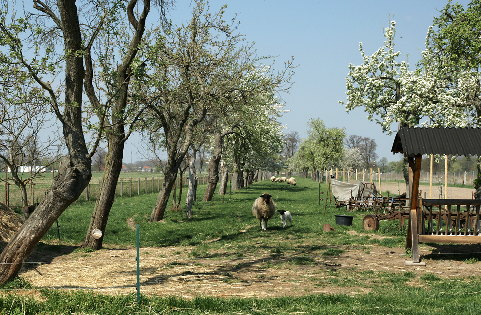 Idylle am Stadtrand von Havelberg