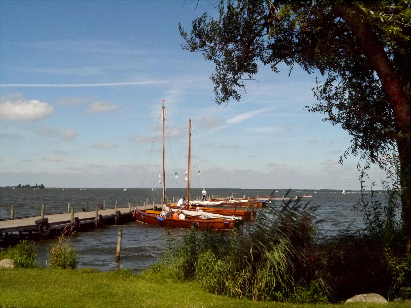 Idylle am Steinhuder Meer