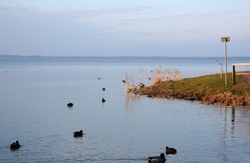 Idylle am Steinhuder Meer