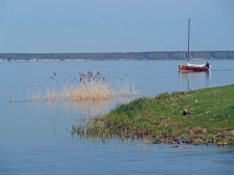 Idylle am Steinhuder Meer