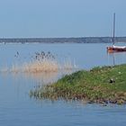 Idylle am Steinhuder Meer