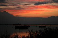 Idylle am Steinhuder Meer