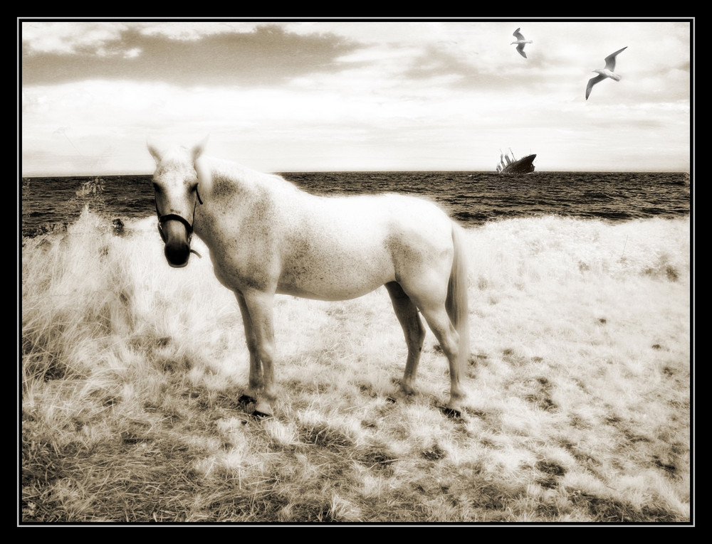 Idylle am Strand