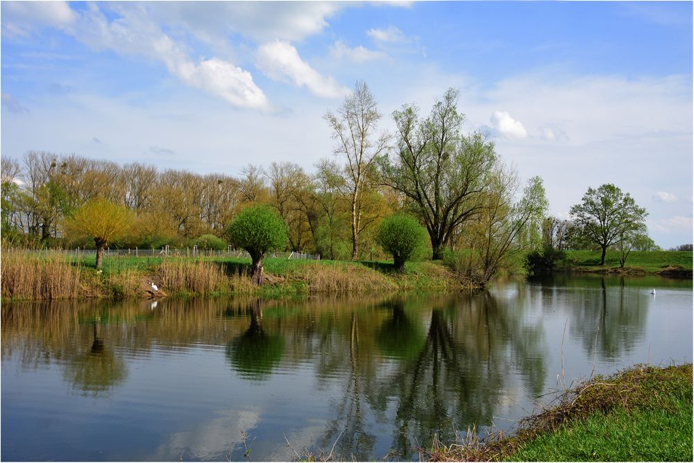 Idylle am Teich Foto & Bild experimente, landschaft, projekte Bilder