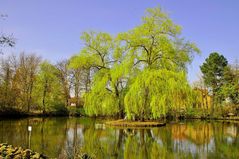 Idylle am Teich