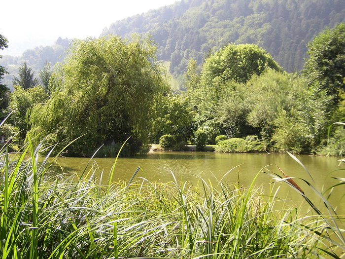 Idylle am Teich