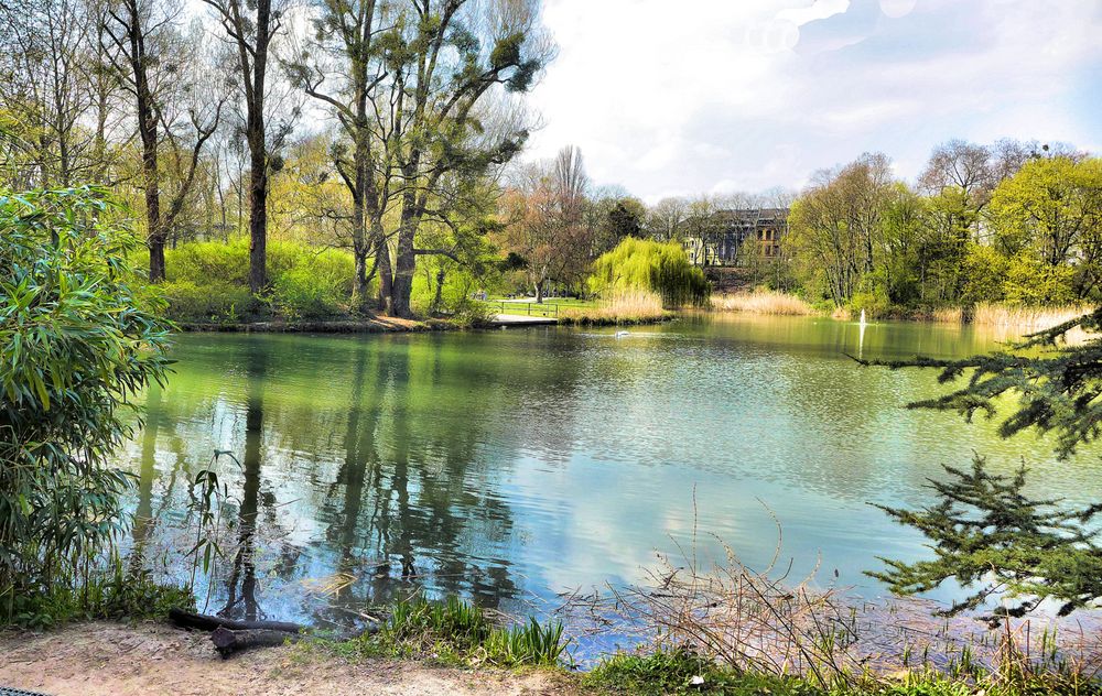 Idylle am Teich