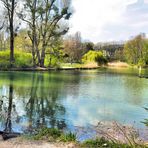 Idylle am Teich