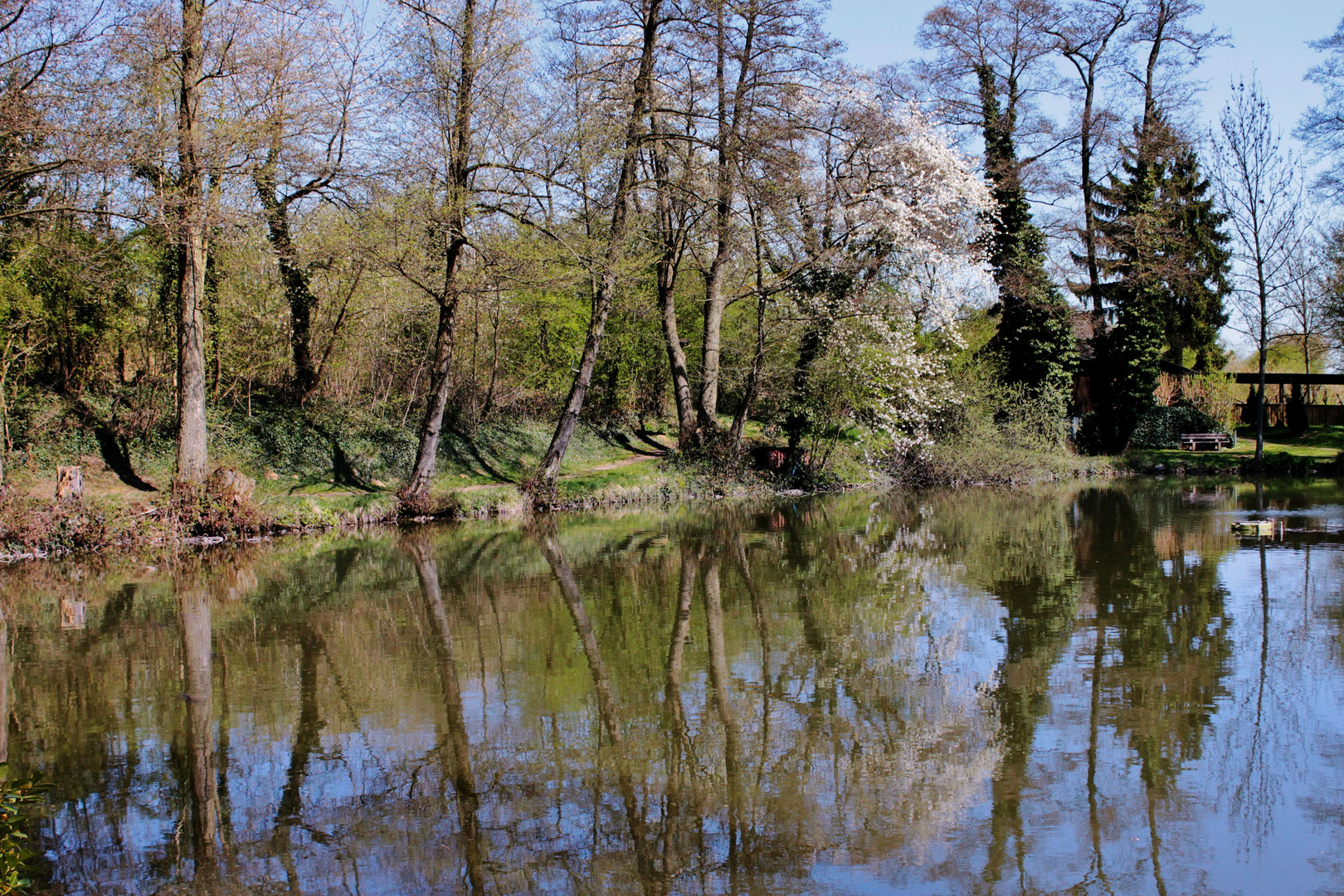 Idylle am Teich