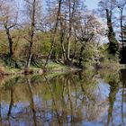 Idylle am Teich