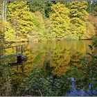 Idylle am Waldweiher