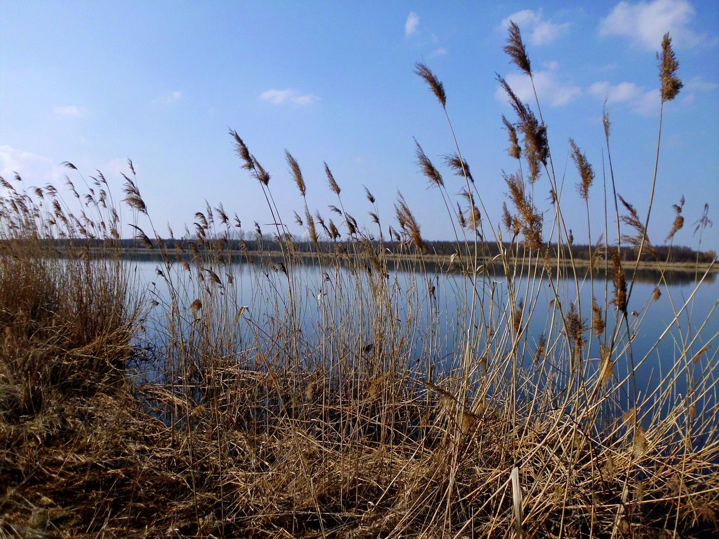 Idylle am Wallendorfer See