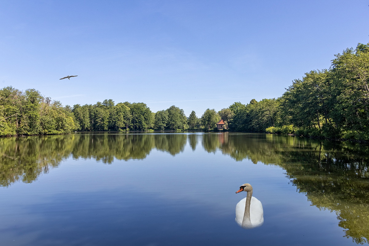 Idylle am Weiher