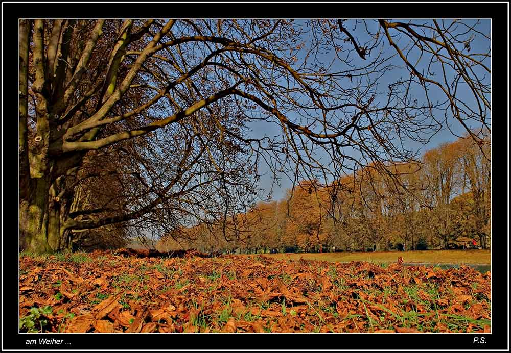 Idylle am Weiher - II -