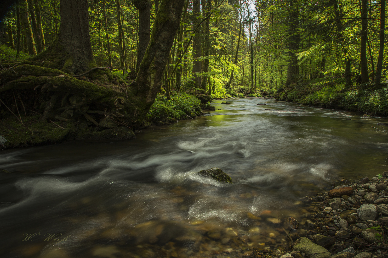 Idylle am Wildbach im bayrischen Wald