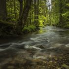 Idylle am Wildbach im bayrischen Wald