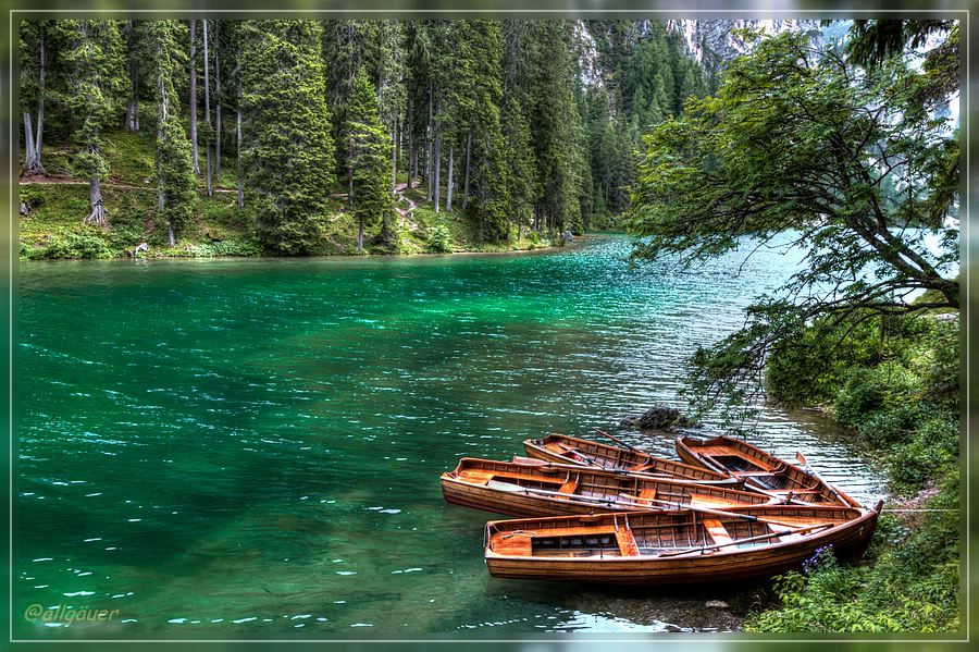 Idylle am Wildsee