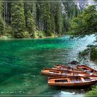 Idylle am Wildsee