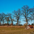 Idylle an den Osterseen