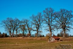 Idylle an den Osterseen