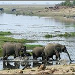 Idylle an der Chobe Riverfront