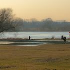 Idylle an der Elbe