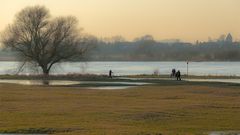 Idylle an der Elbe