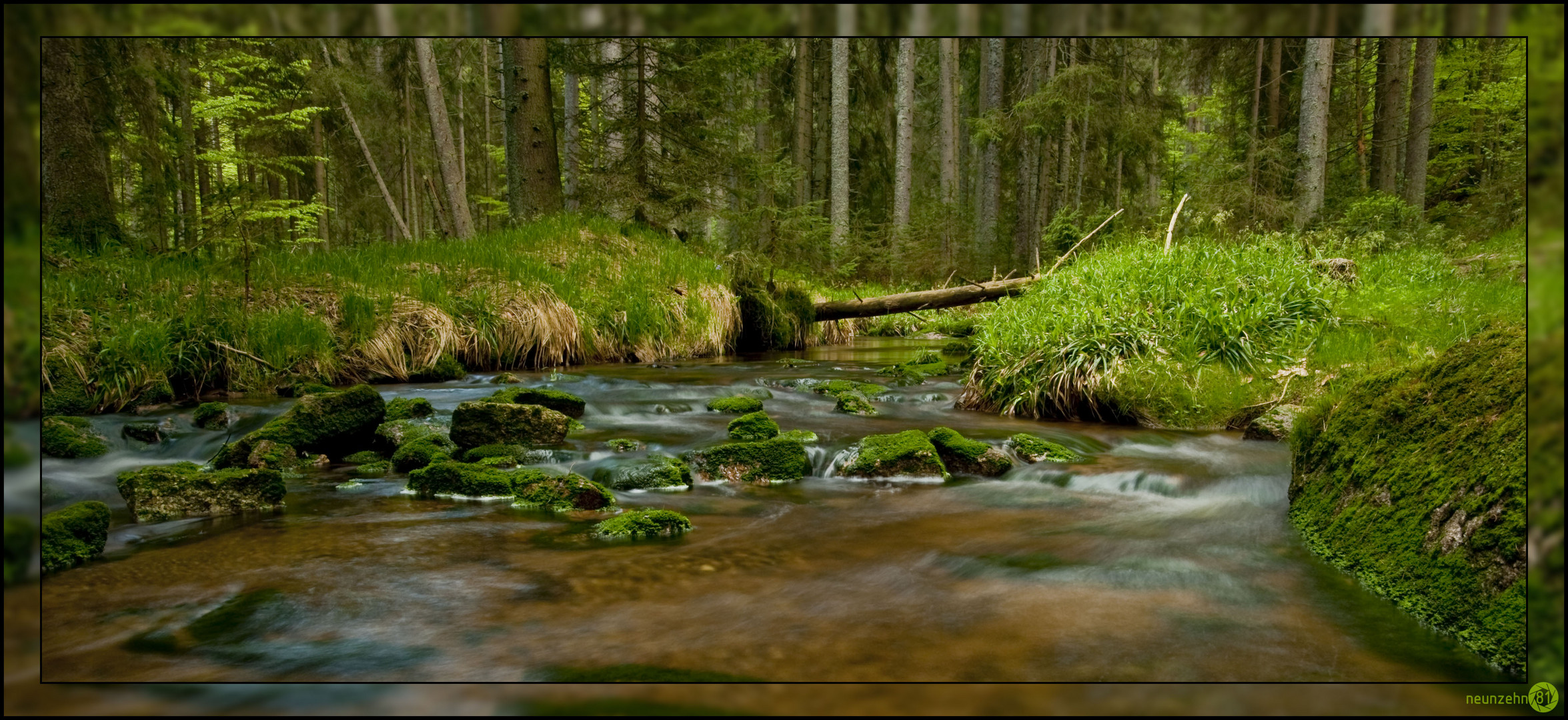 Idylle an der Mirasat