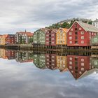Idylle an der Nidelva in Trondheim