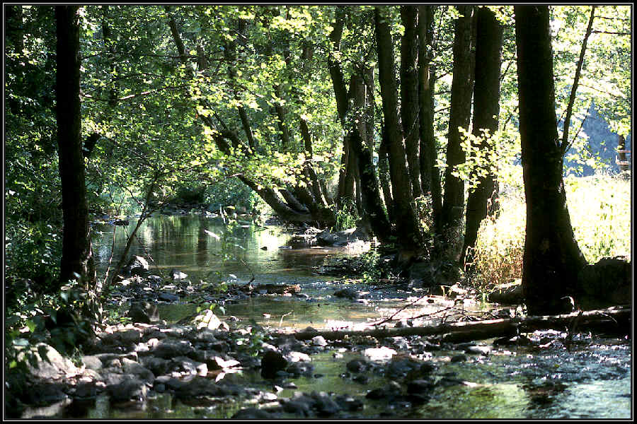 Idylle an der Salz