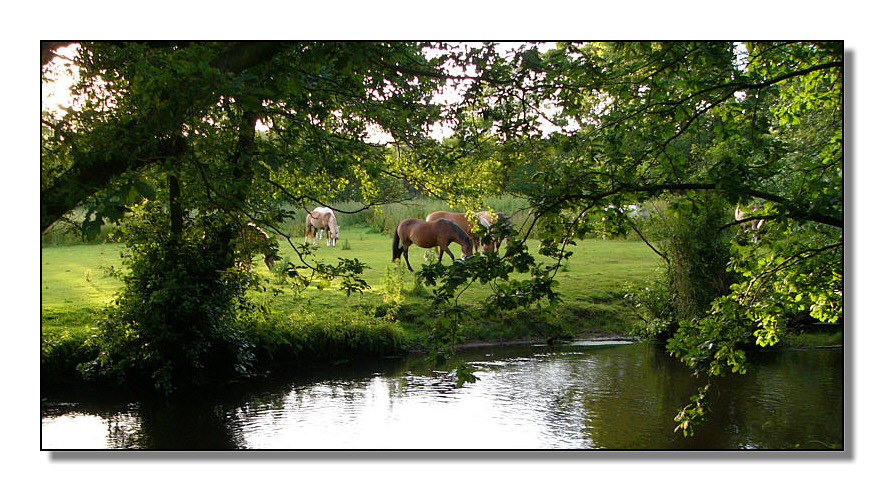 Idylle an der Seeve