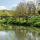 Idylle an der Tauber in Wertheim-2