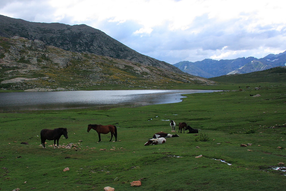 Idylle auf dem GR20