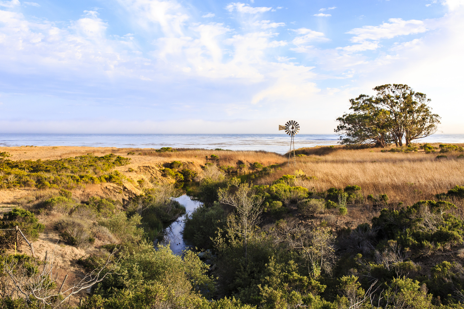 Idylle auf dem Pacific Coast Roadtrip