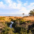 Idylle auf dem Pacific Coast Roadtrip