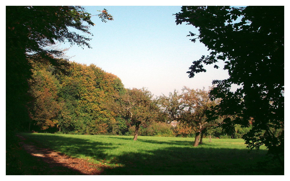 Idylle auf dem Schönberg