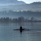 Idylle auf dem Sempachersee