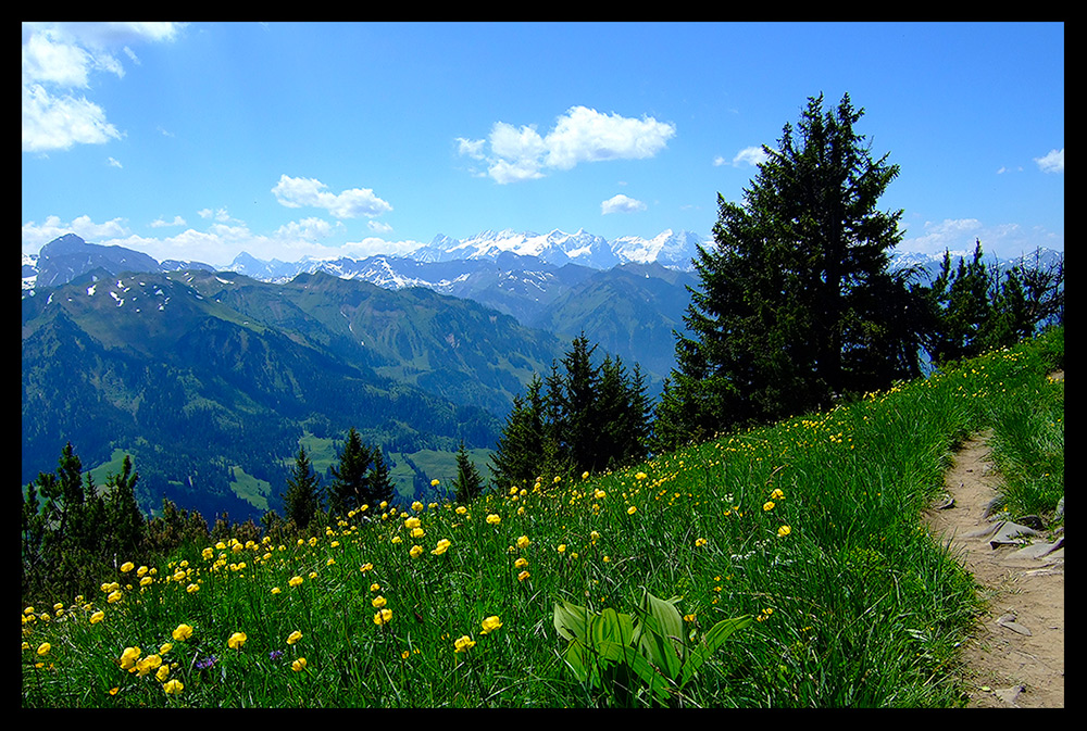 Idylle auf dem Stanserhorn