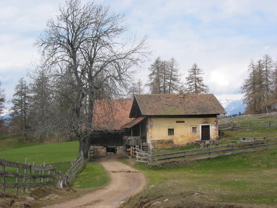 Idylle auf dem Tschögglberg