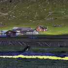 Idylle auf dem Urnerboden